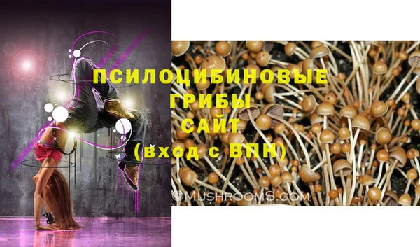 ешки Волосово