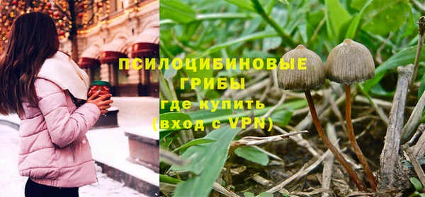 PSILOCYBIN Бронницы