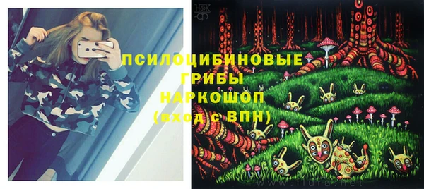 ешки Волосово