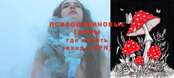ешки Волосово